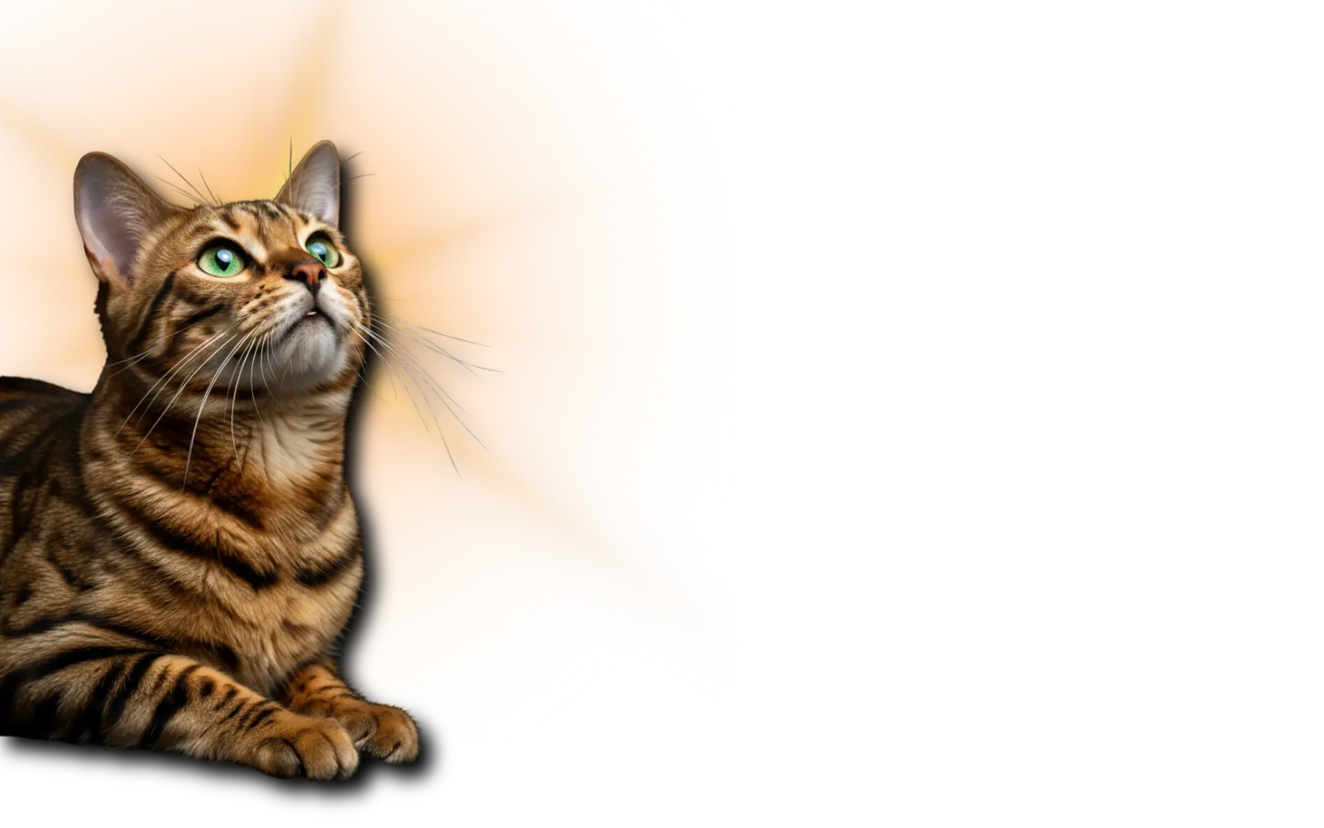 Mascota del Simposio