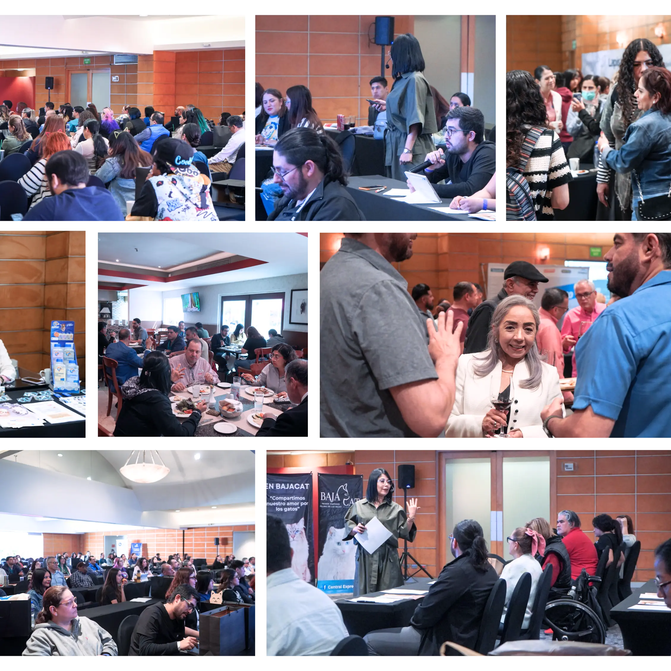 Avance de la galería