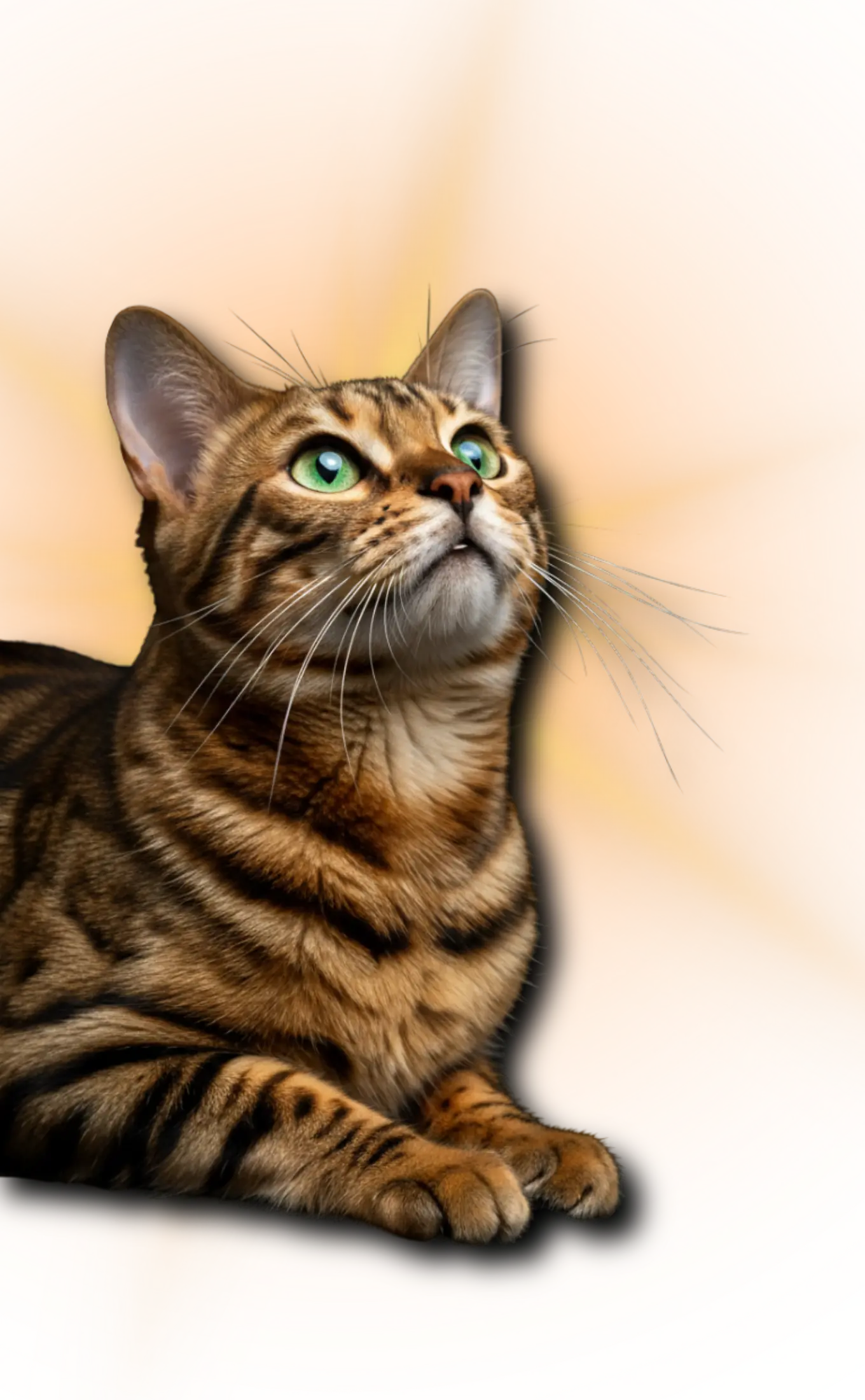 Mascota del Simposio